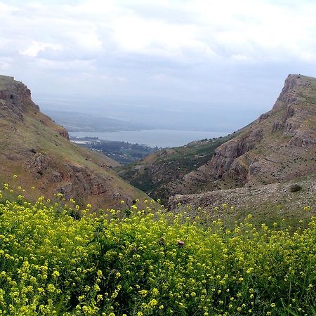 Arbel Holiday Homes ภายนอก รูปภาพ