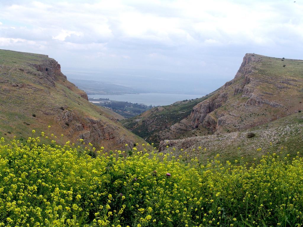 Arbel Holiday Homes ภายนอก รูปภาพ